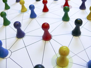 ac米兰-中国篮球教练员战术执行力提升路径分析，中国篮球教练员等级划分标准