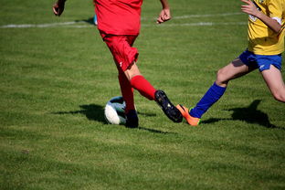 米兰体育官方网站-篮球训练计划科学制定及执行效果跟踪研究，简述篮球训练计划制定步骤